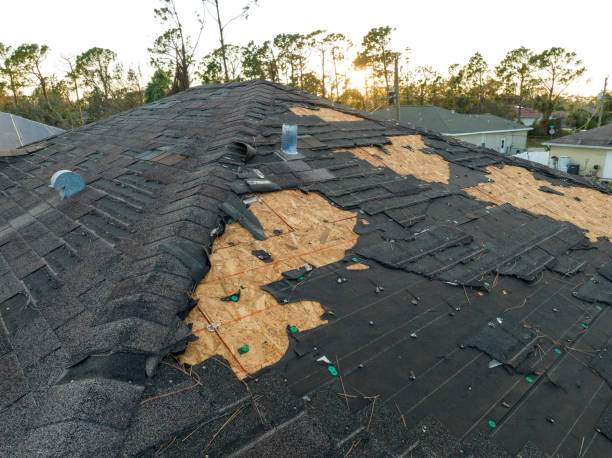 Roof Coating Services in Edcouch, TX