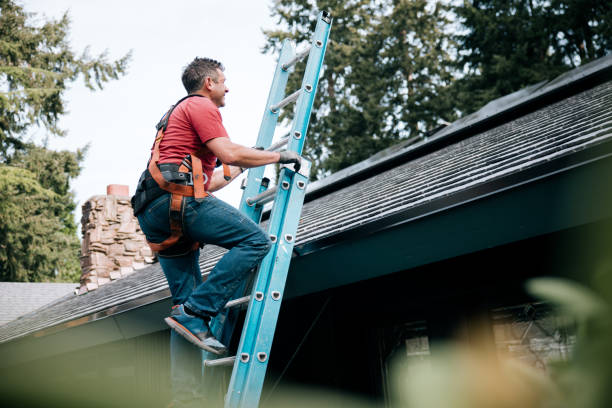 Best Gutter Installation and Repair  in Edcouch, TX