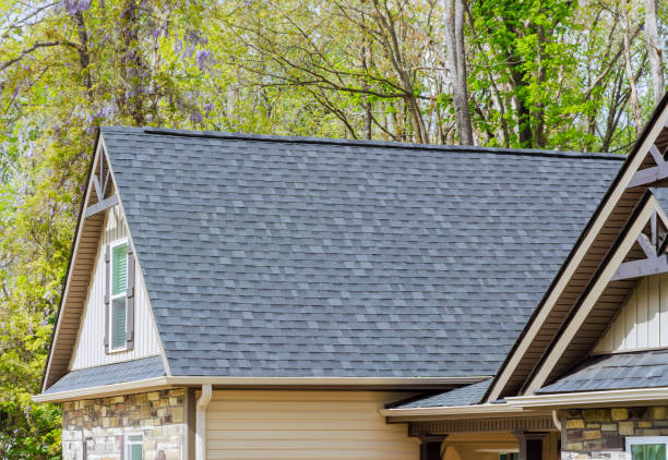 Best Chimney Flashing Repair  in Edcouch, TX