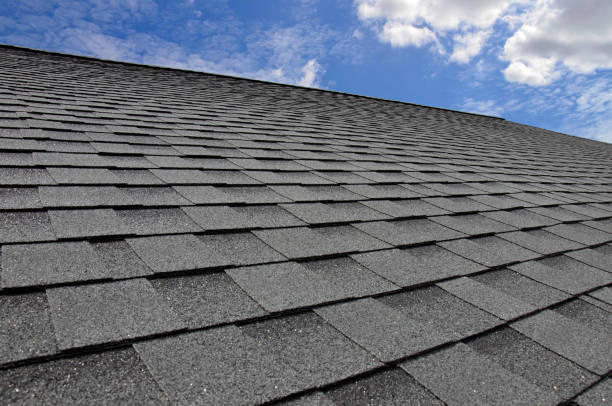 Best Roof Insulation Installation  in Edcouch, TX