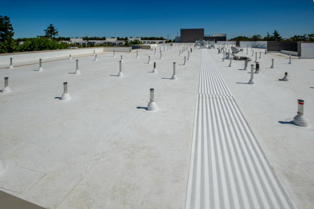 Best Flat Roofing  in Edcouch, TX